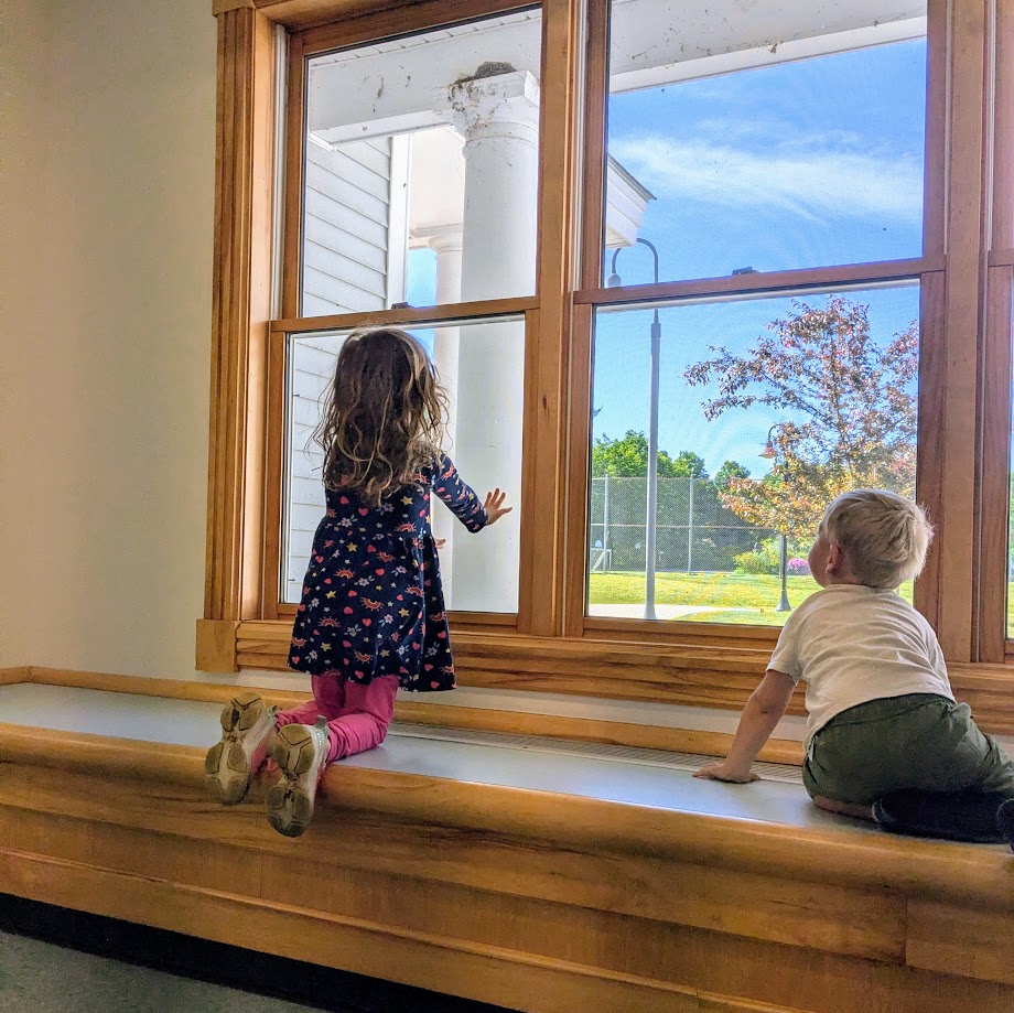 preschoolers watching baby birds